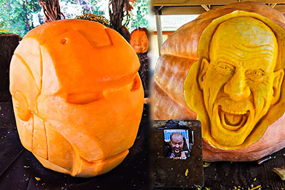 Giant pumpkin sculpting